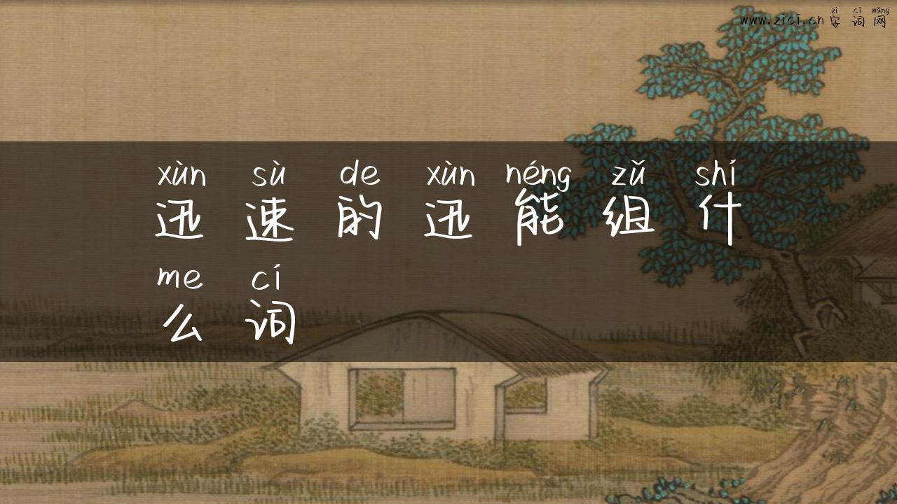 迅速的迅能组什么词