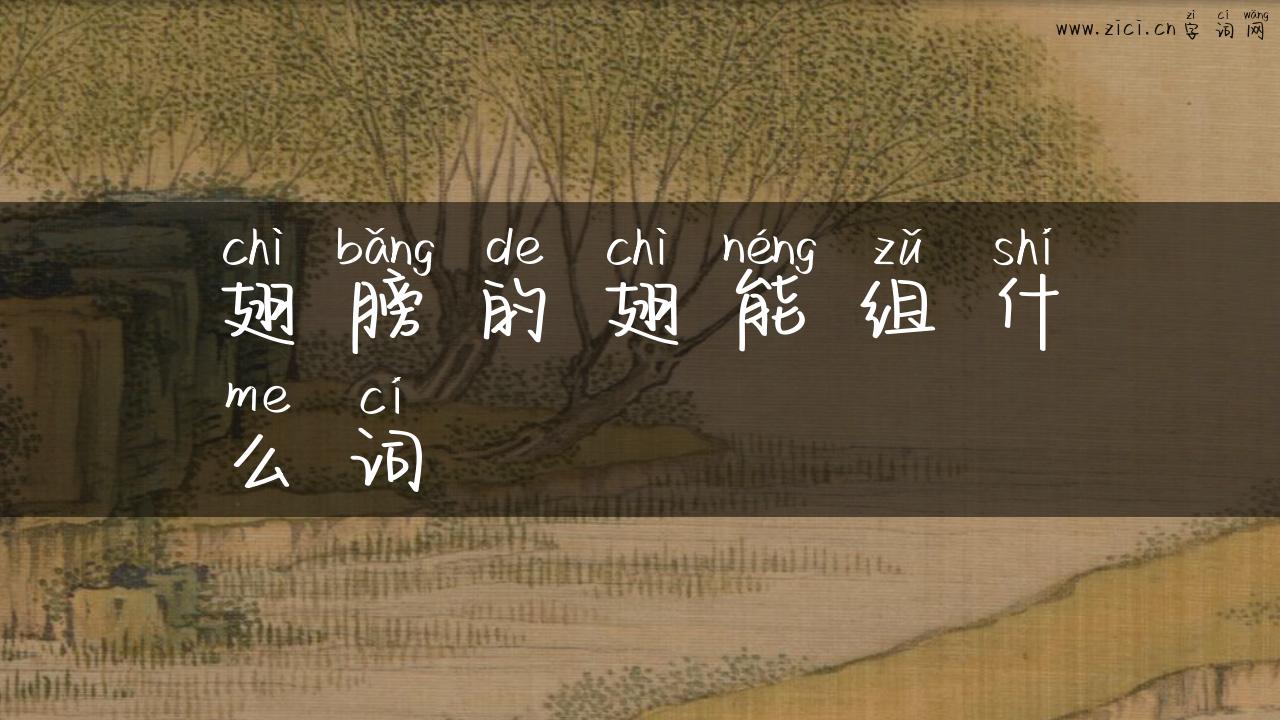 翅膀的翅能组什么词