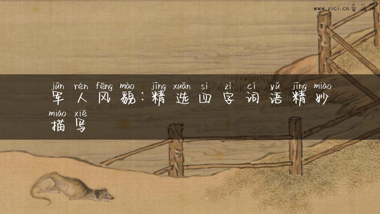 军人风貌：精选四字词语精妙描写