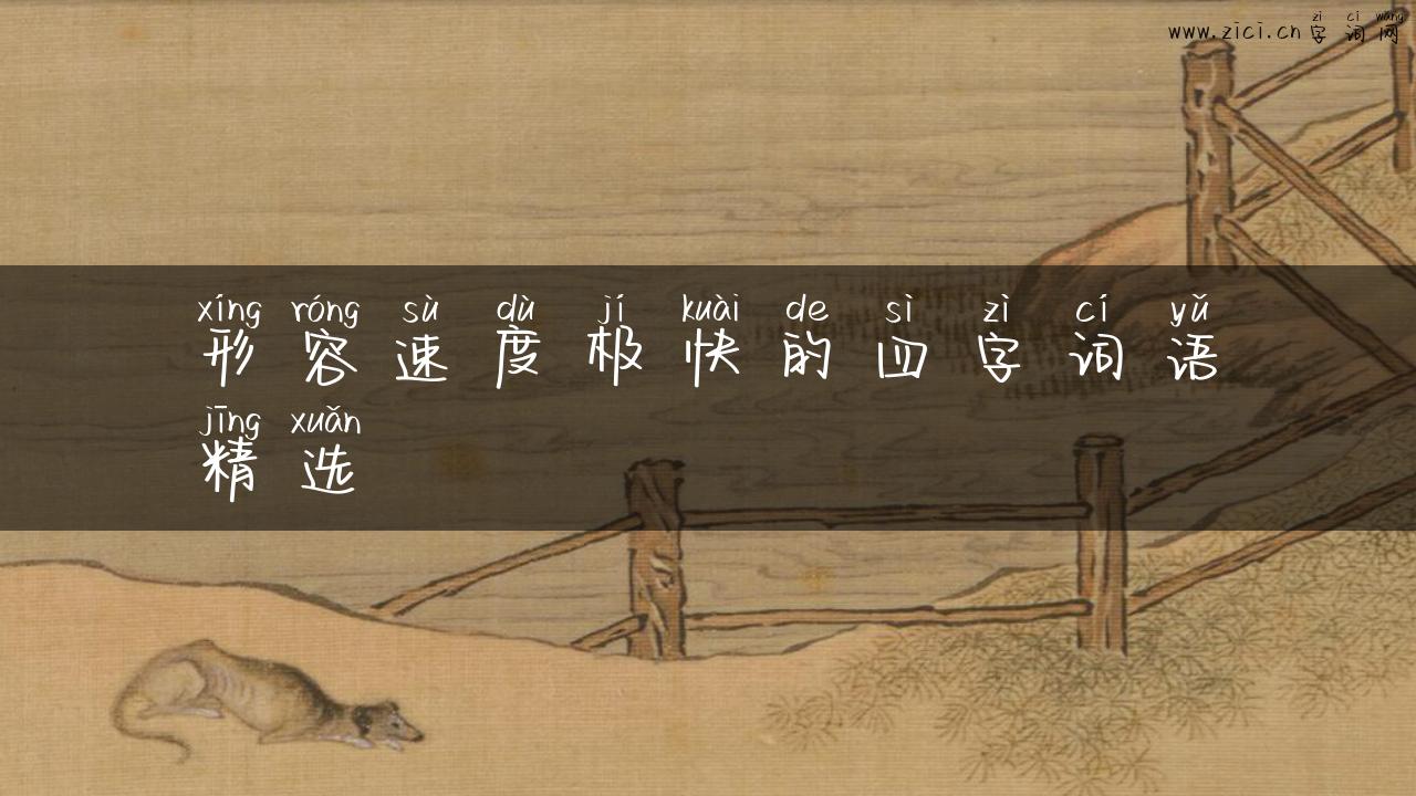 形容速度极快的四字词语精选