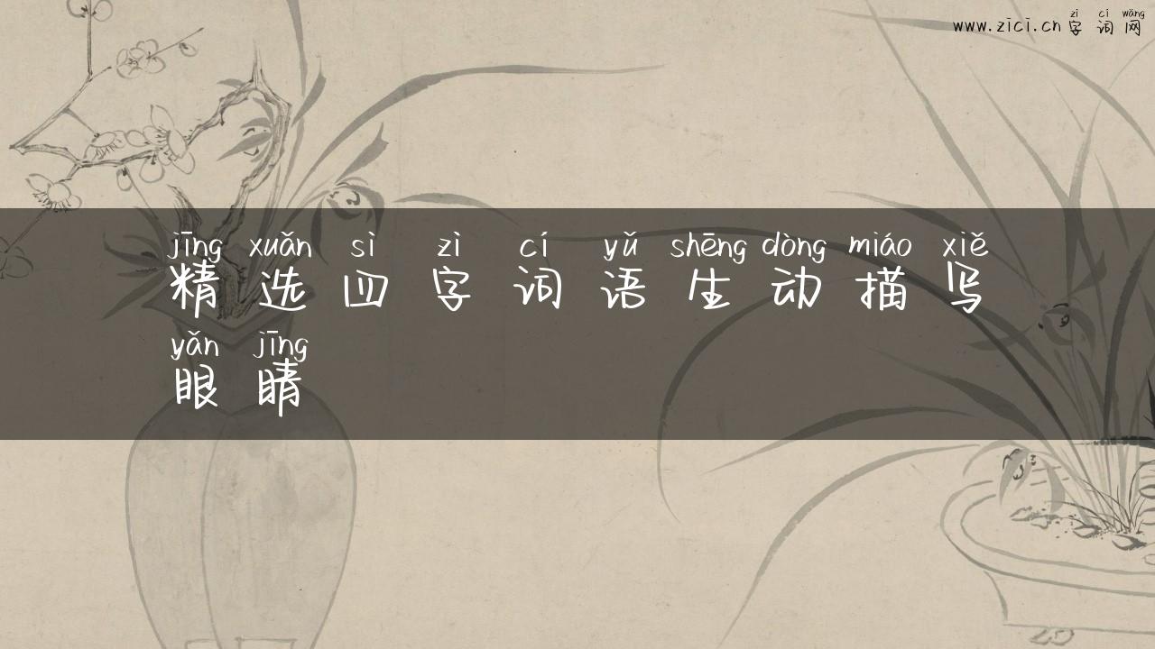 精选四字词语生动描写眼睛