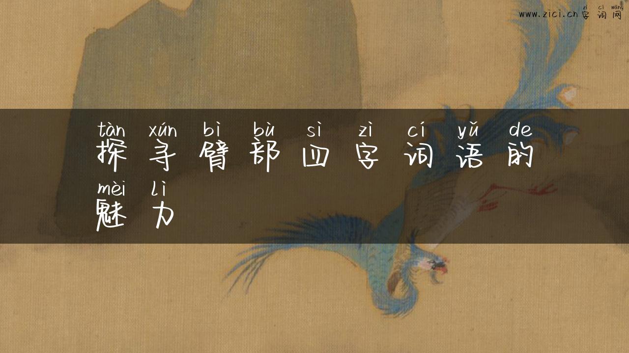 探寻臂部四字词语的魅力