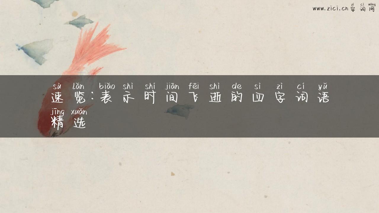 速览：表示时间飞逝的四字词语精选