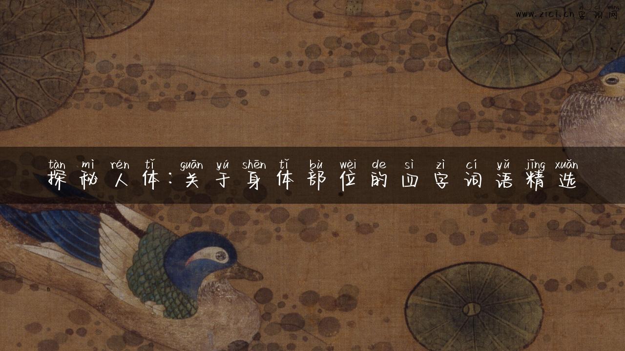 探秘人体：关于身体部位的四字词语精选