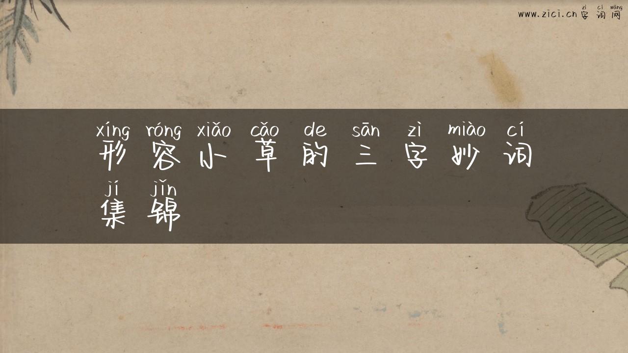 形容小草的三字妙词集锦