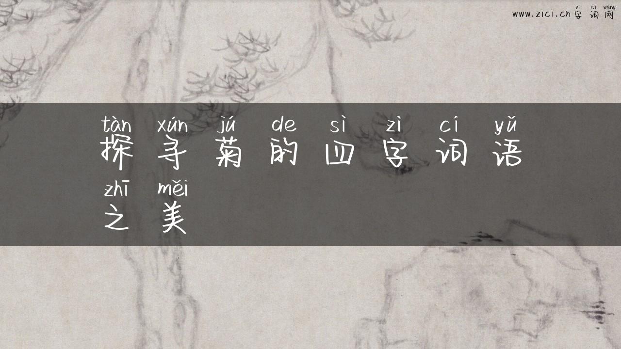 探寻菊的四字词语之美
