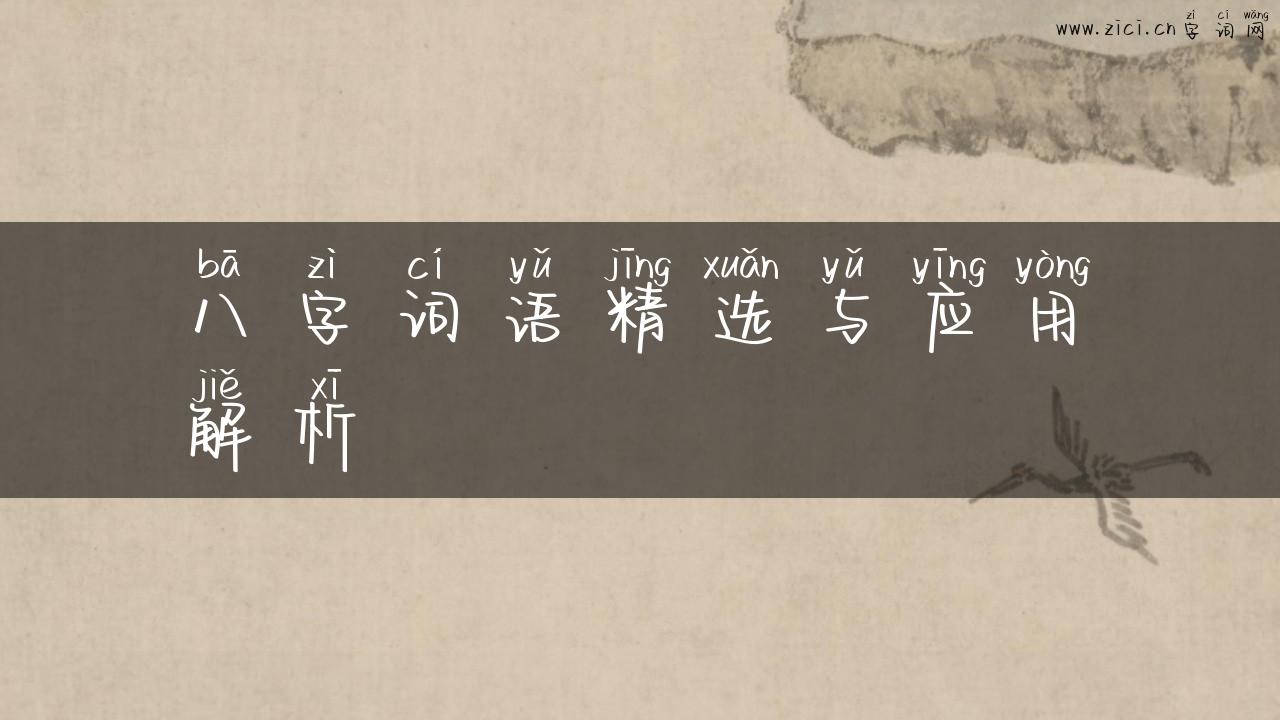 八字词语精选与应用解析