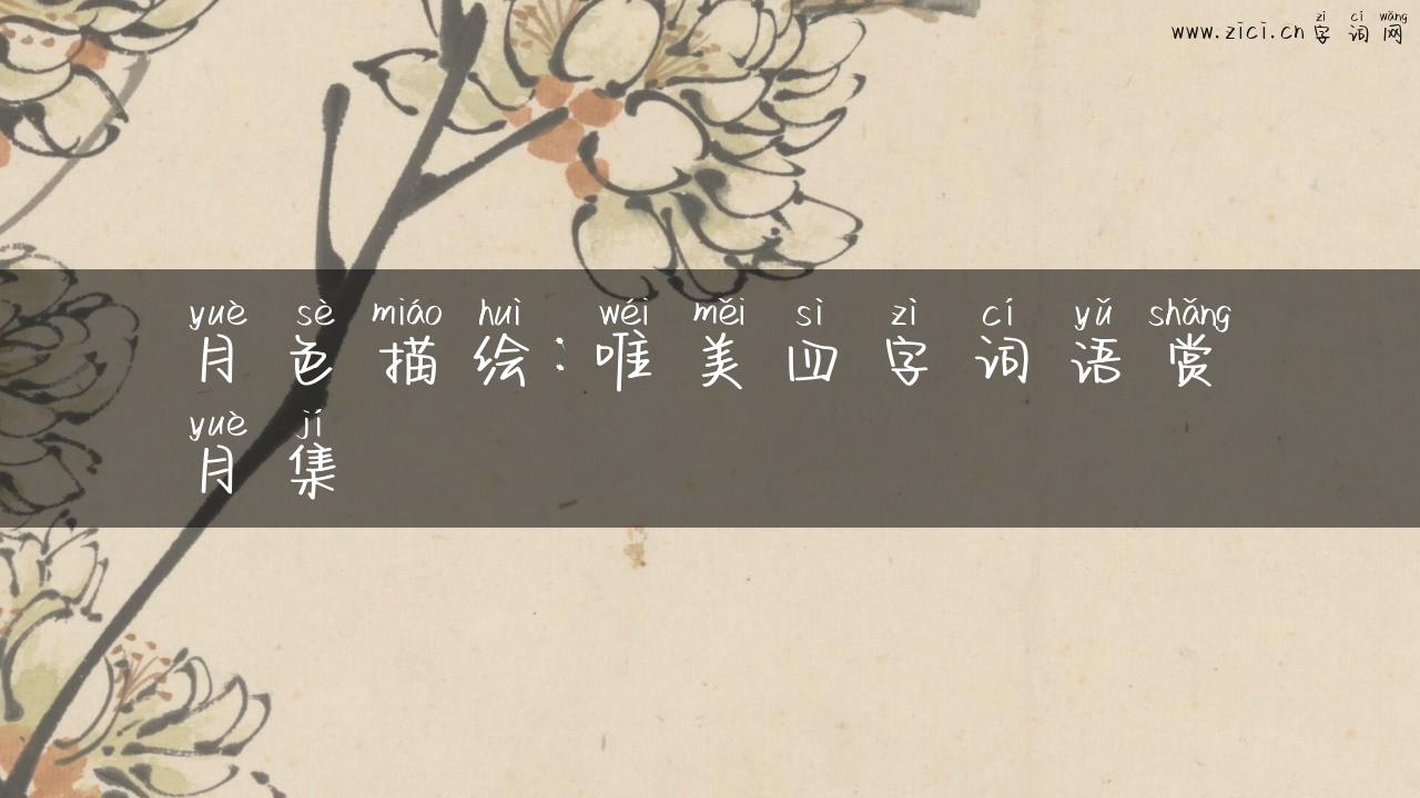 月色描绘：唯美四字词语赏月集