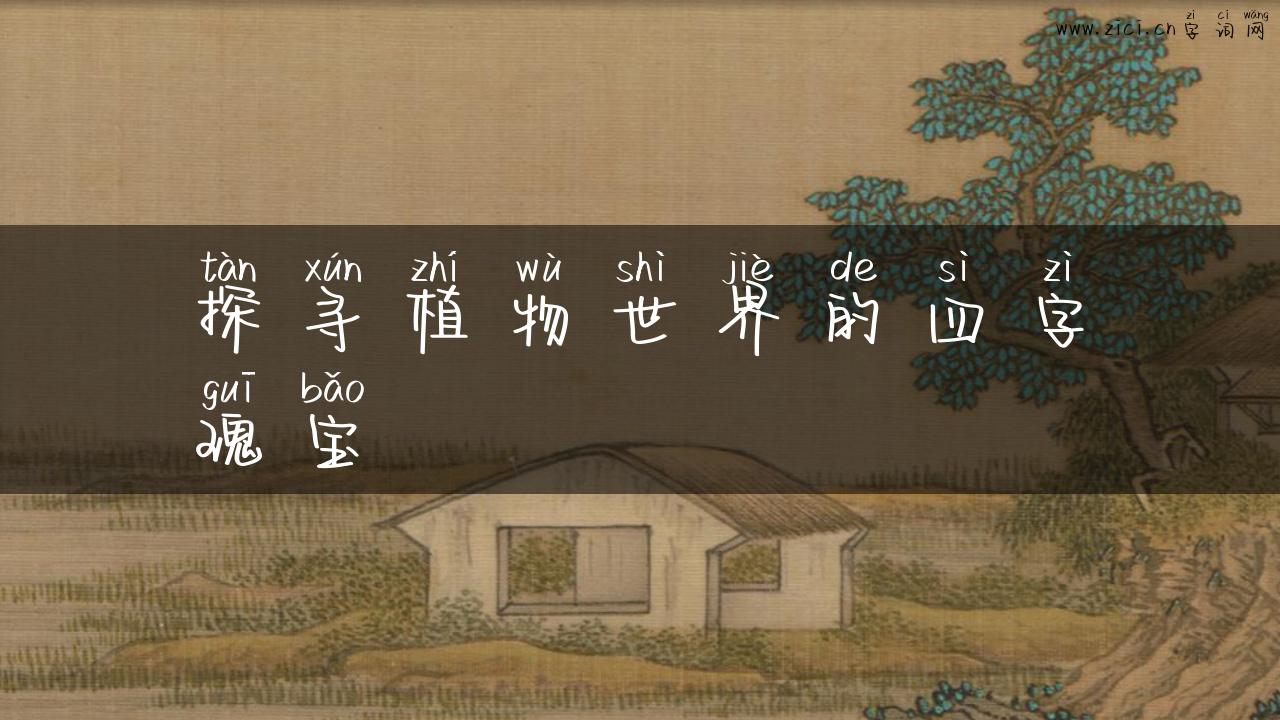 探寻植物世界的四字瑰宝
