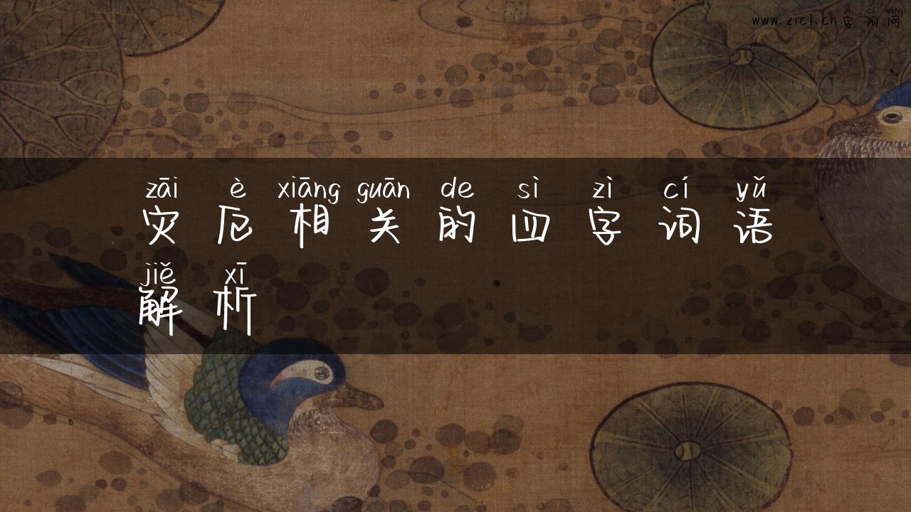 灾厄相关的四字词语解析