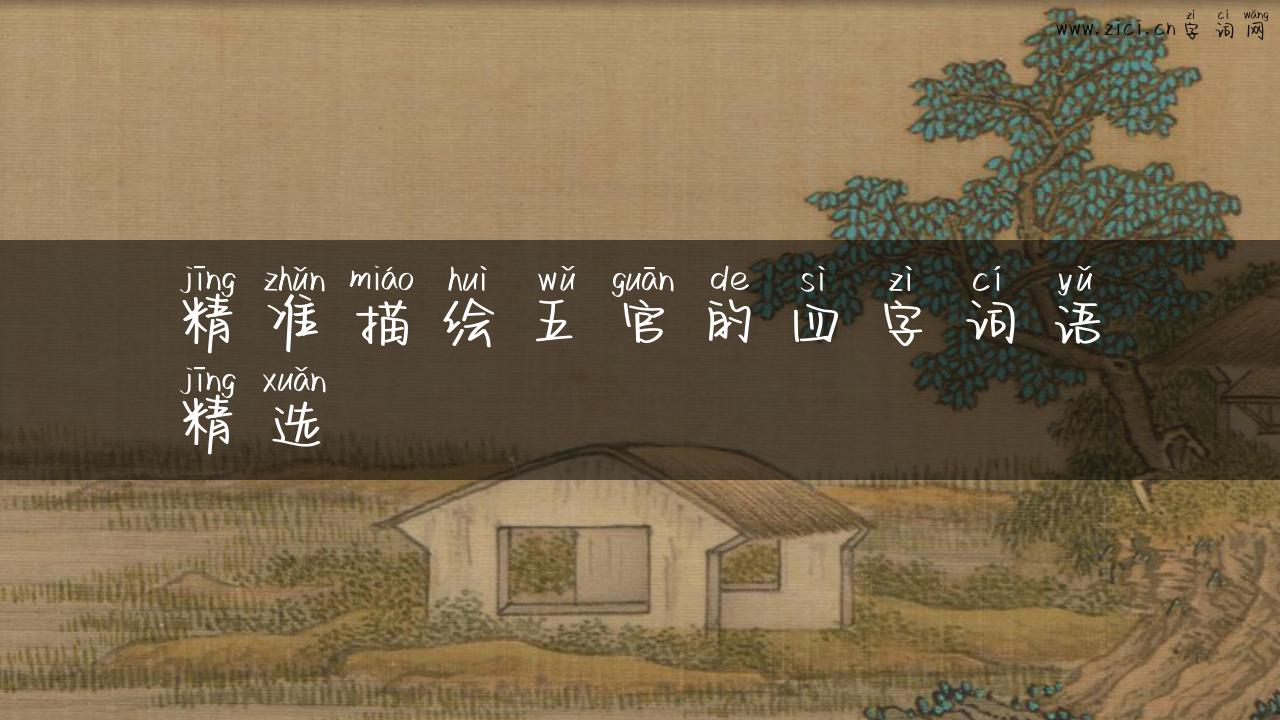 精准描绘五官的四字词语精选