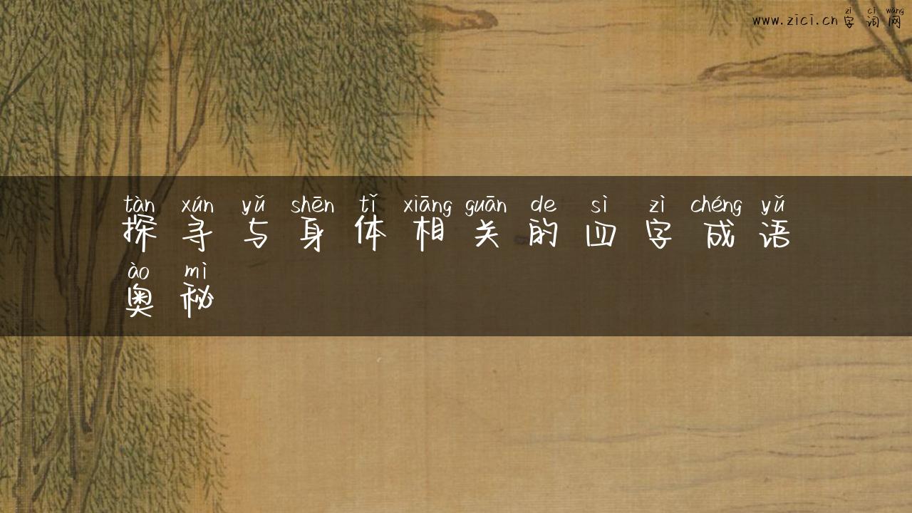 探寻与身体相关的四字成语奥秘