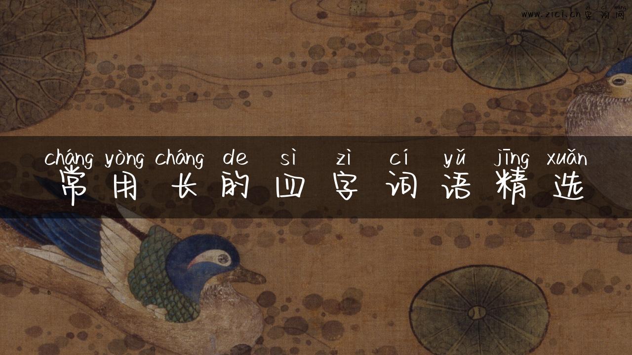 常用长的四字词语精选