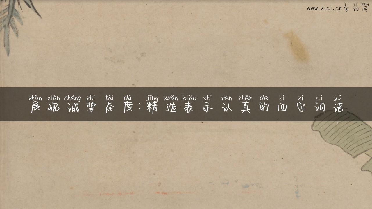 展现诚挚态度：精选表示认真的四字词语