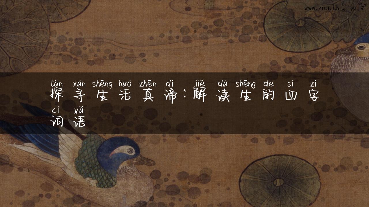 探寻生活真谛：解读生的四字词语