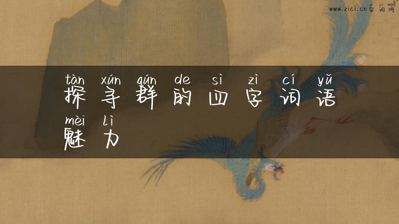 探寻群的四字词语魅力