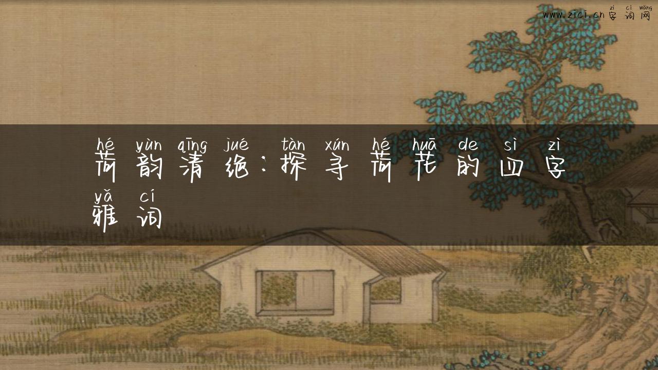 荷韵清绝：探寻荷花的四字雅词