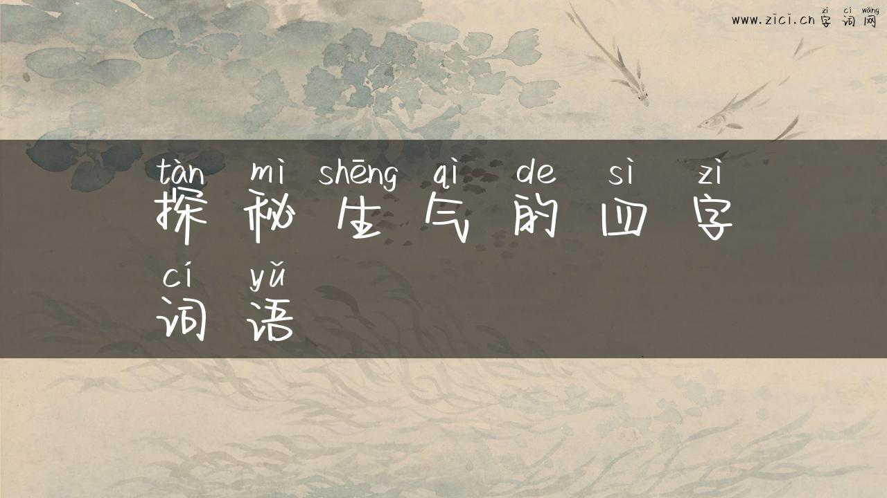 探秘生气的四字词语