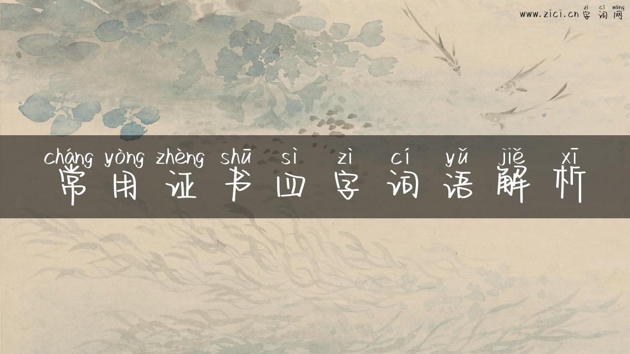 常用证书四字词语解析