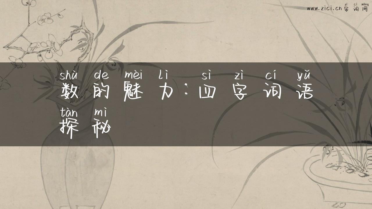 数的魅力：四字词语探秘