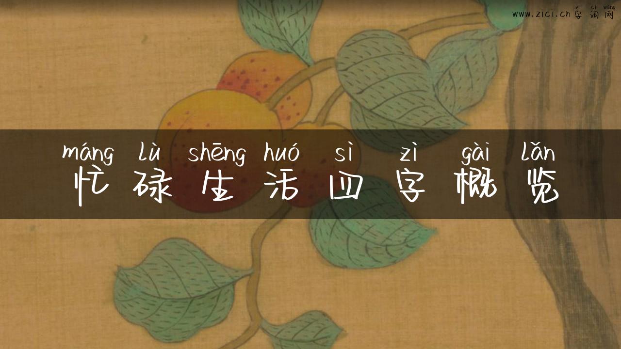 忙碌生活四字概览