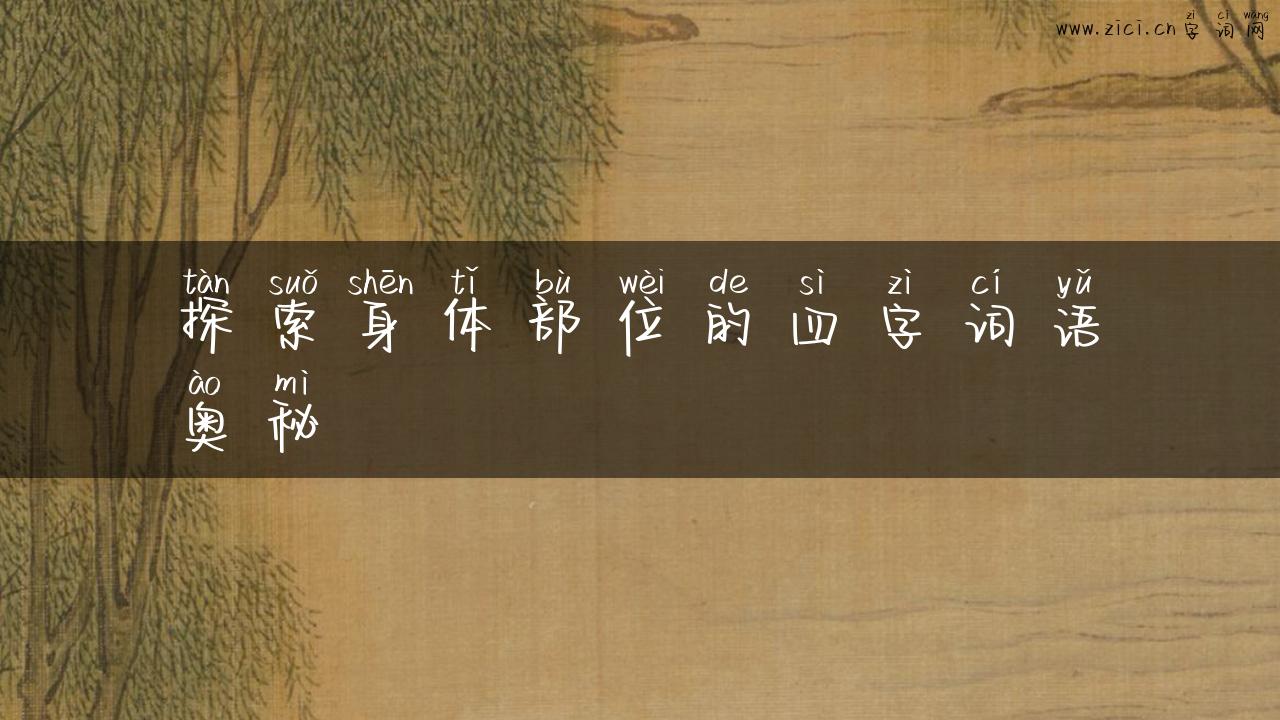 探索身体部位的四字词语奥秘