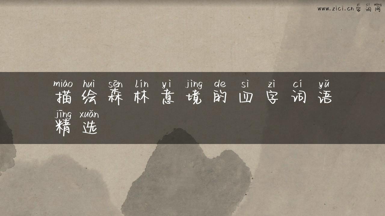 描绘森林意境的四字词语精选