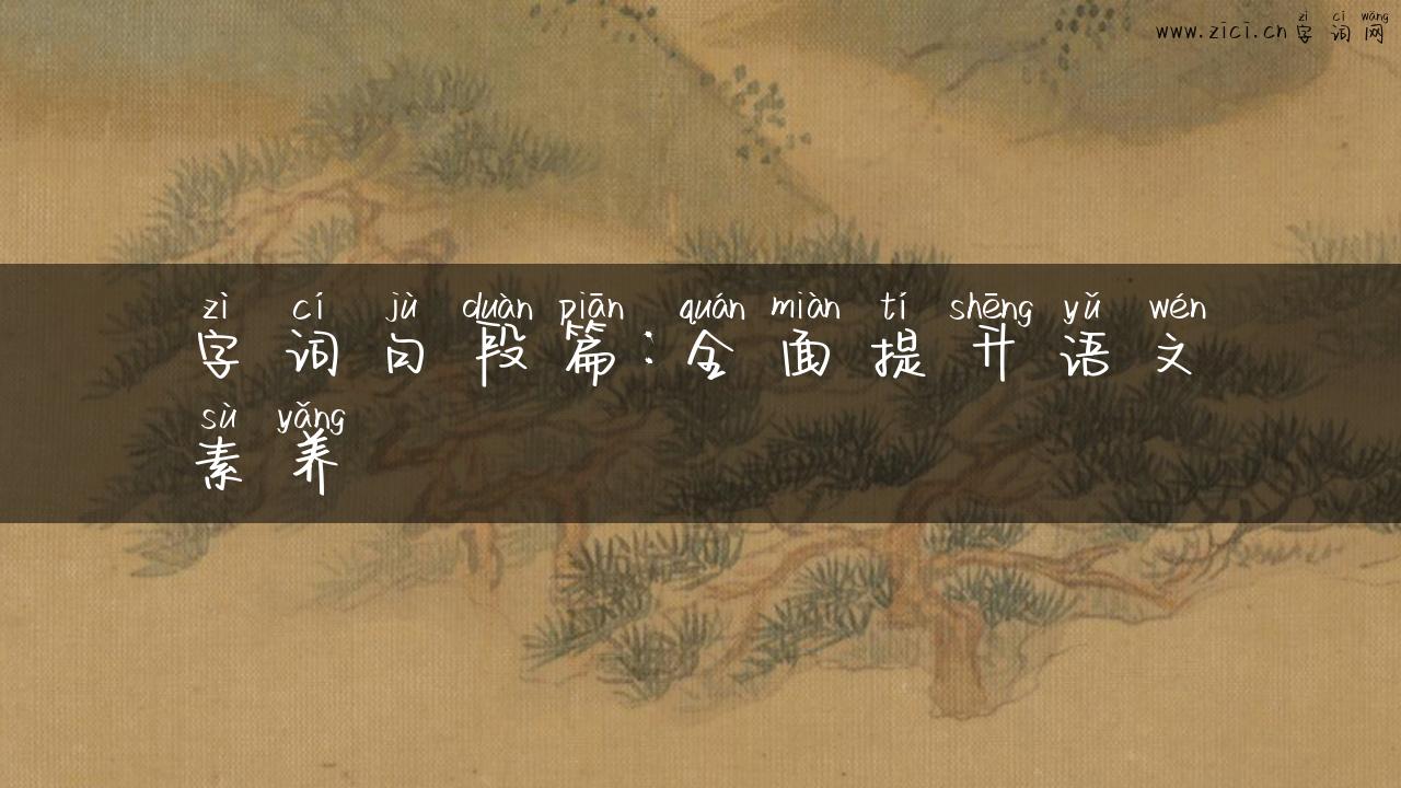 字词句段篇：全面提升语文素养