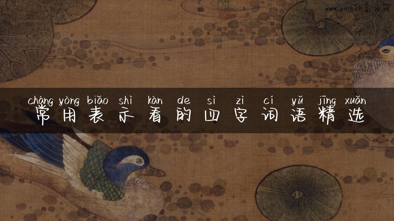 常用表示看的四字词语精选
