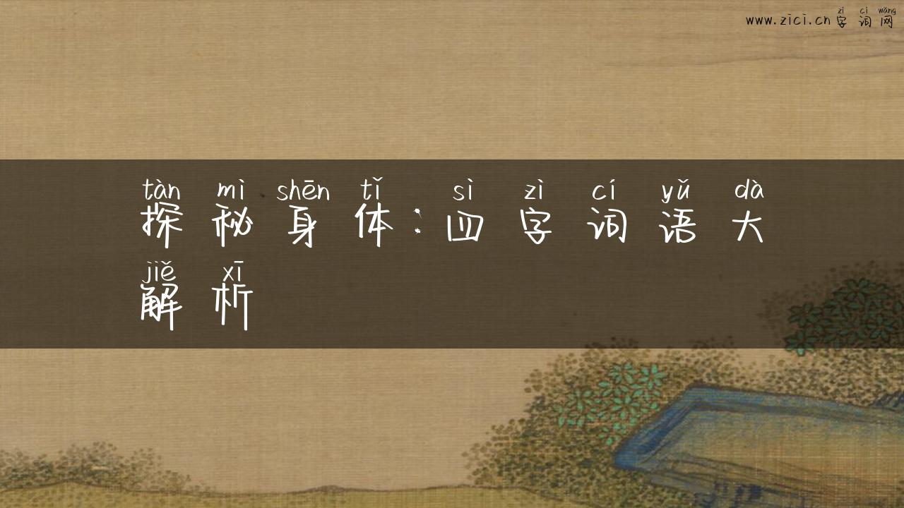 探秘身体：四字词语大解析