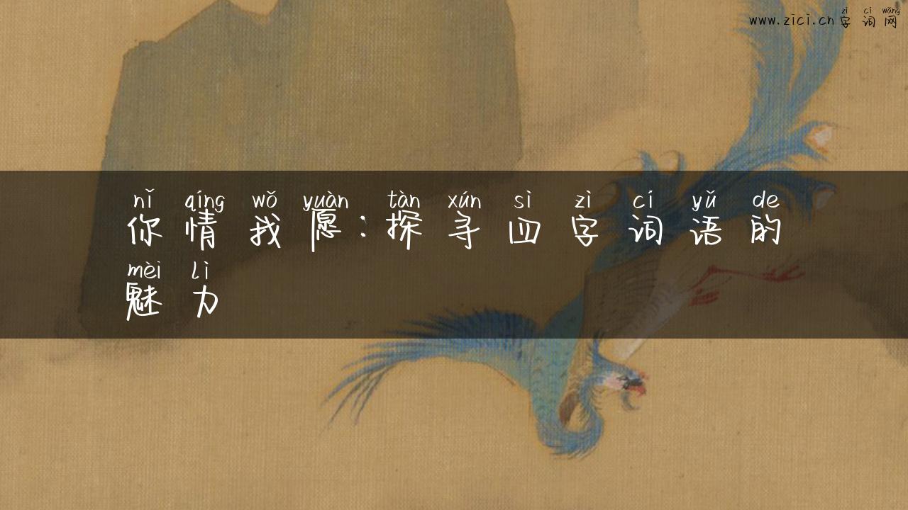你情我愿：探寻四字词语的魅力