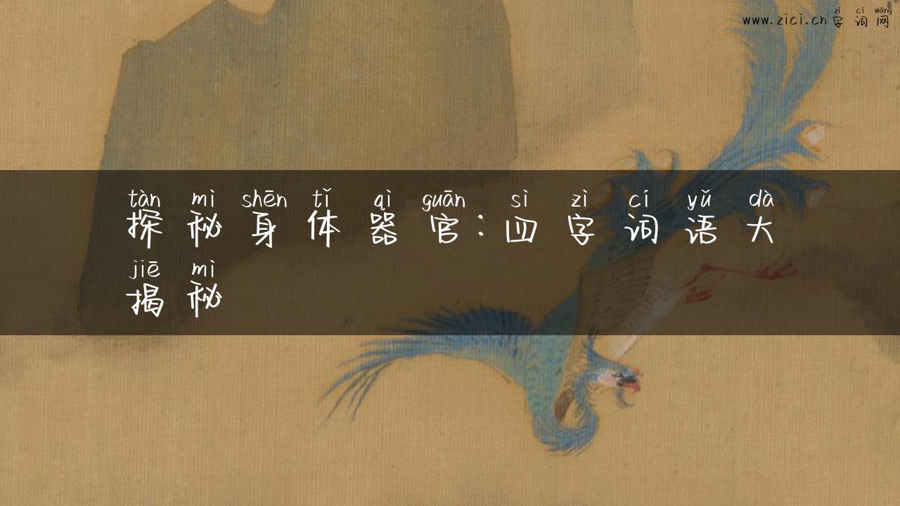 探秘身体器官：四字词语大揭秘