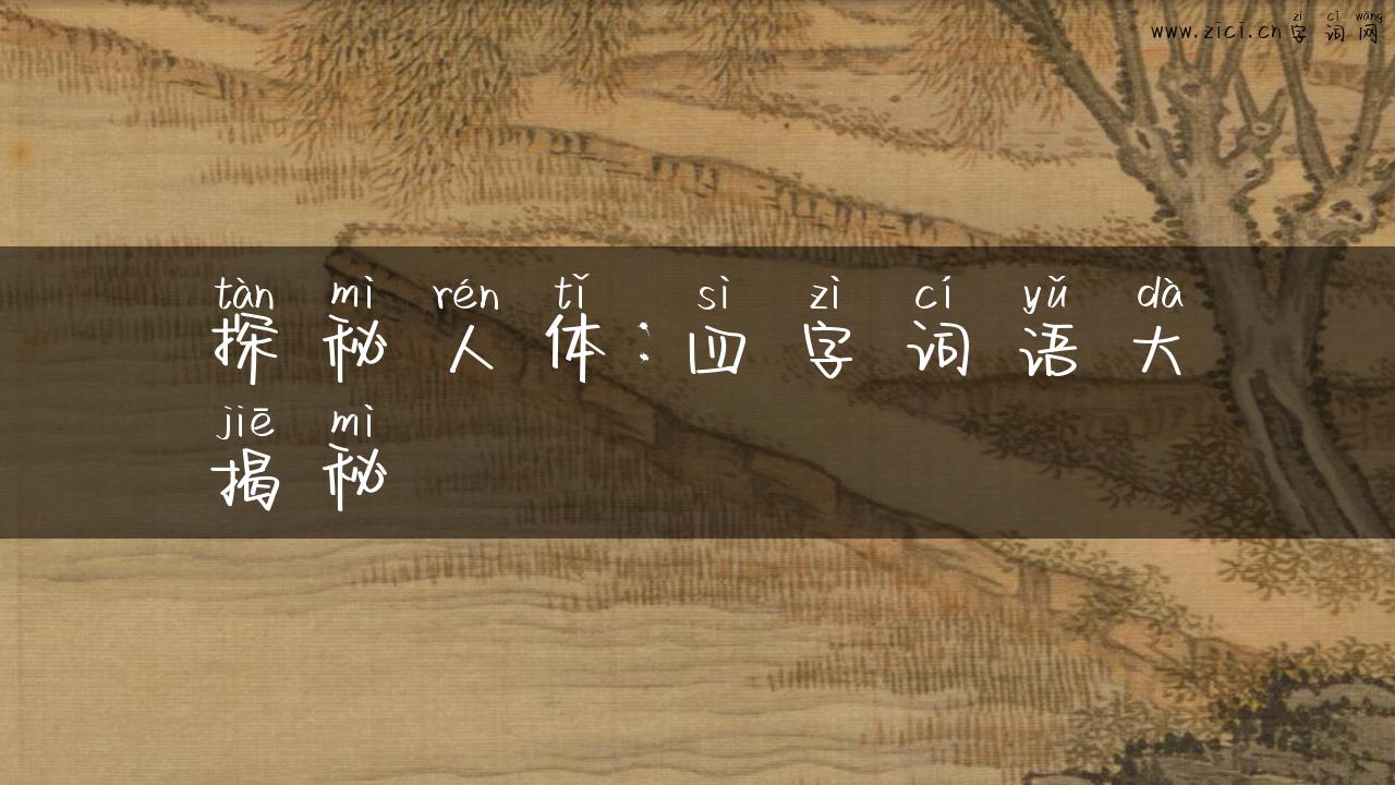 探秘人体：四字词语大揭秘