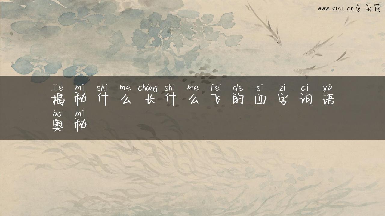 揭秘什么长什么飞的四字词语奥秘