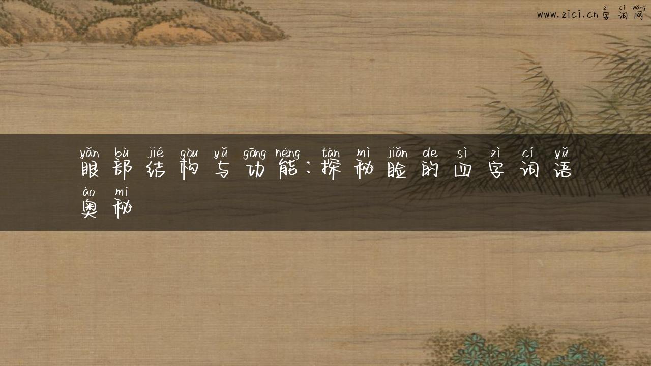 眼部结构与功能：探秘睑的四字词语奥秘