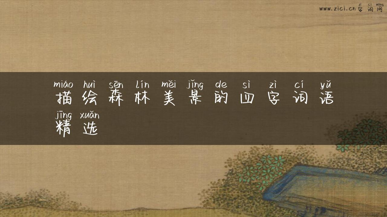 描绘森林美景的四字词语精选