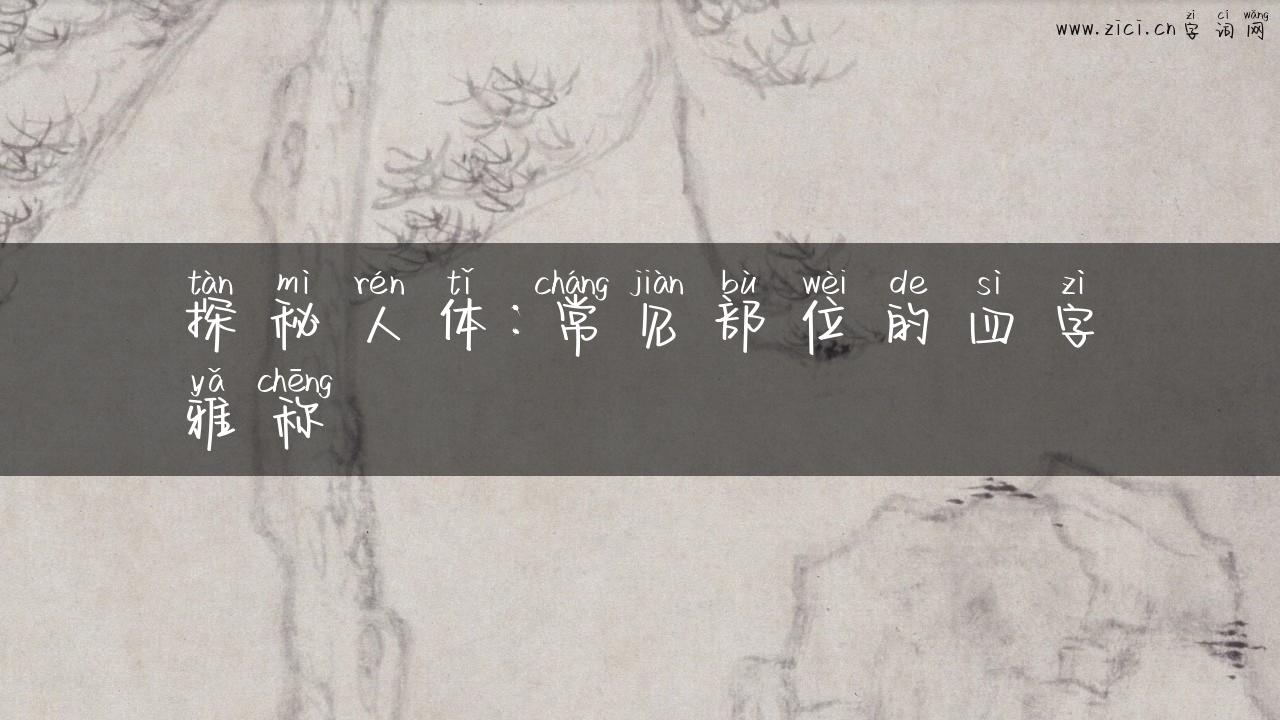 探秘人体：常见部位的四字雅称