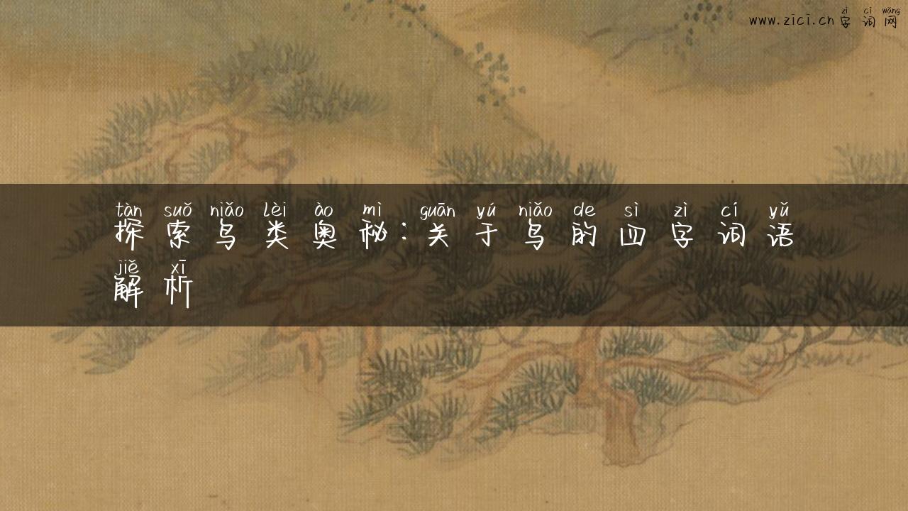 探索鸟类奥秘：关于鸟的四字词语解析