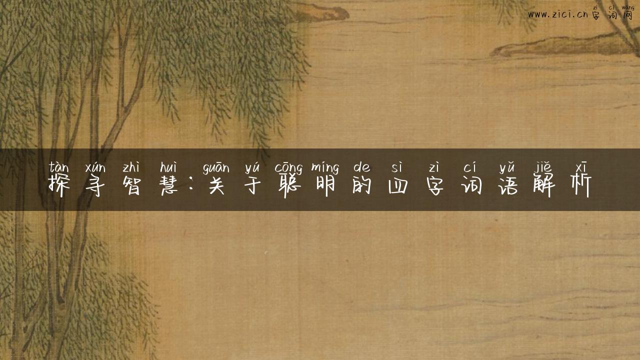 探寻智慧：关于聪明的四字词语解析