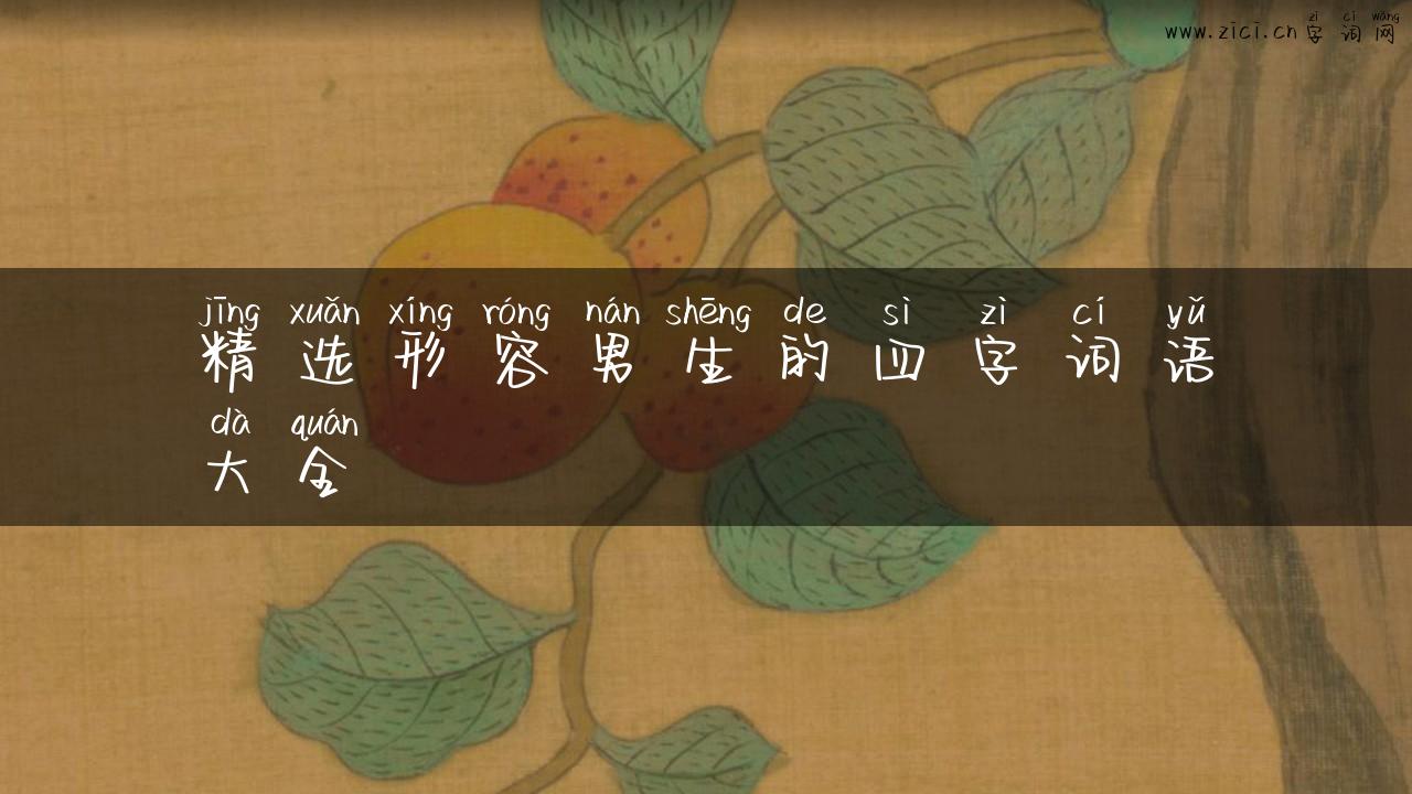 精选形容男生的四字词语大全