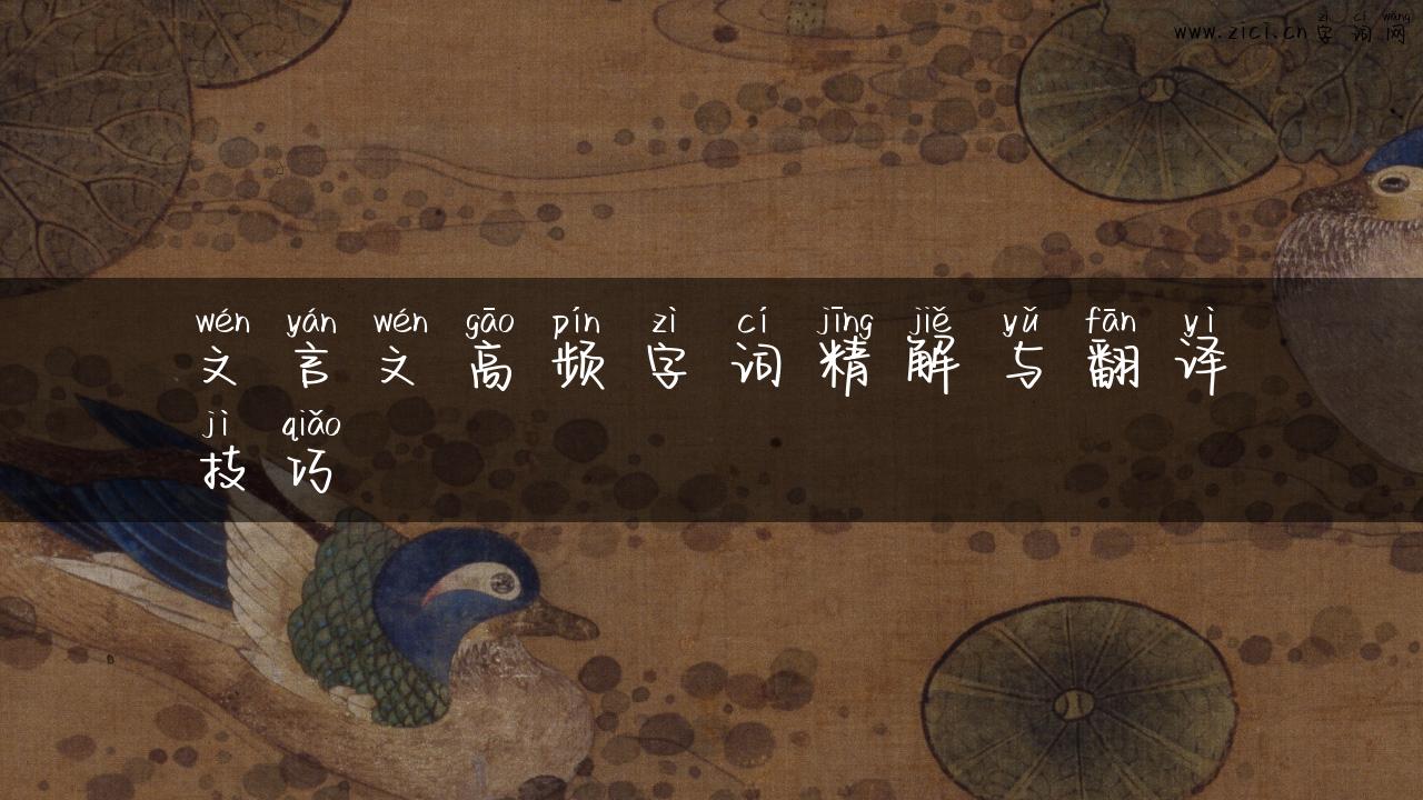 文言文高频字词精解与翻译技巧