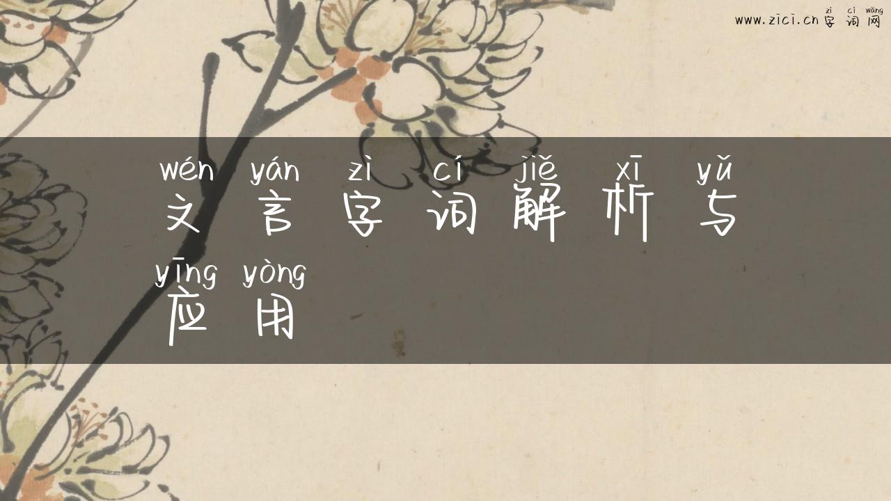 文言字词解析与应用