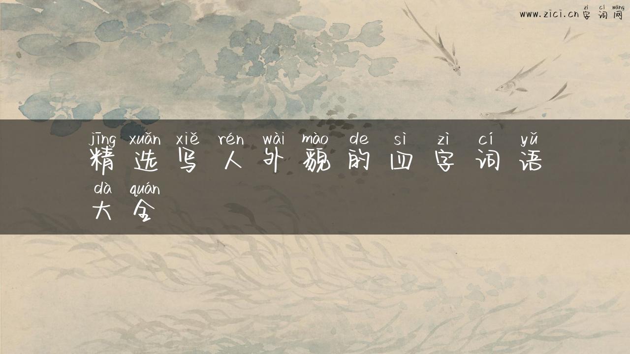 精选写人外貌的四字词语大全