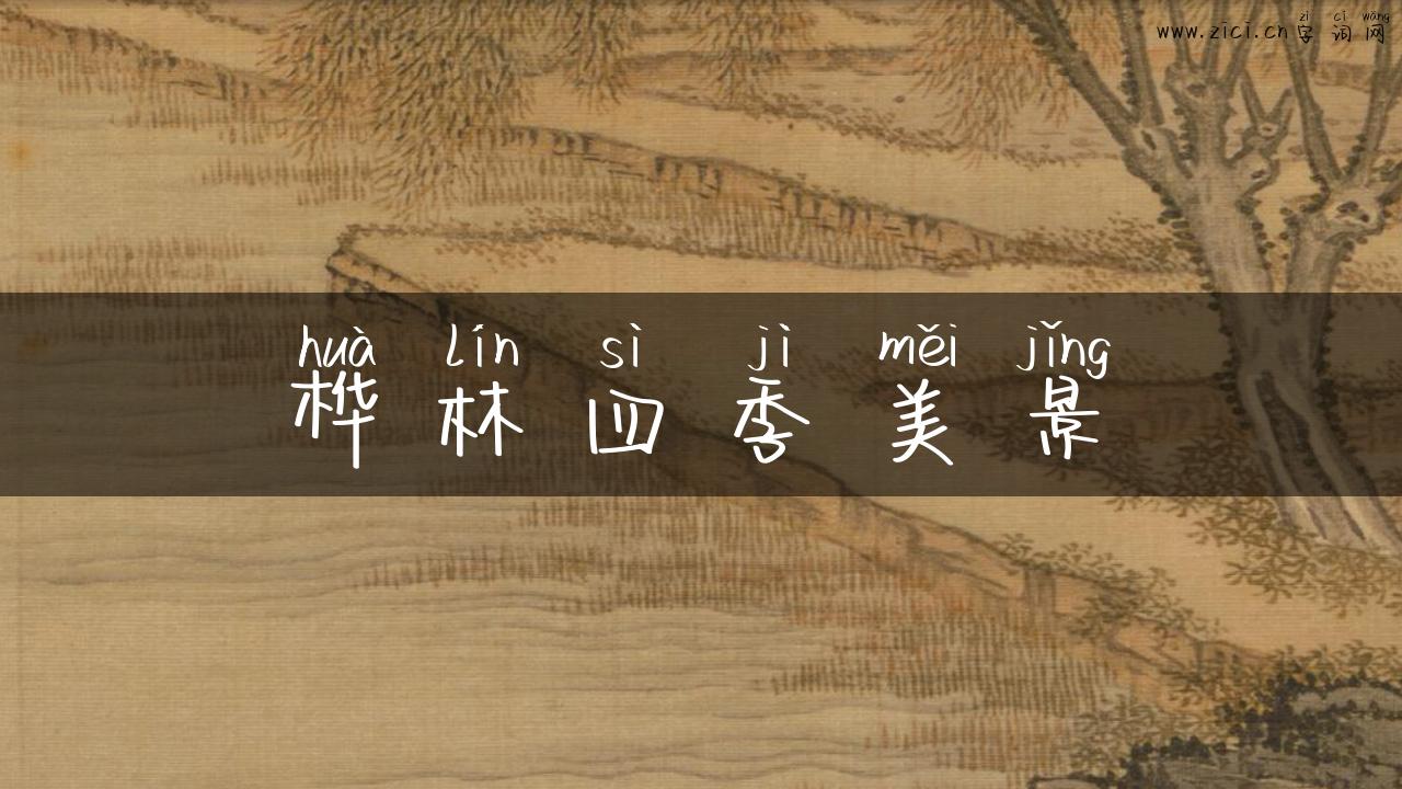 桦林四季美景