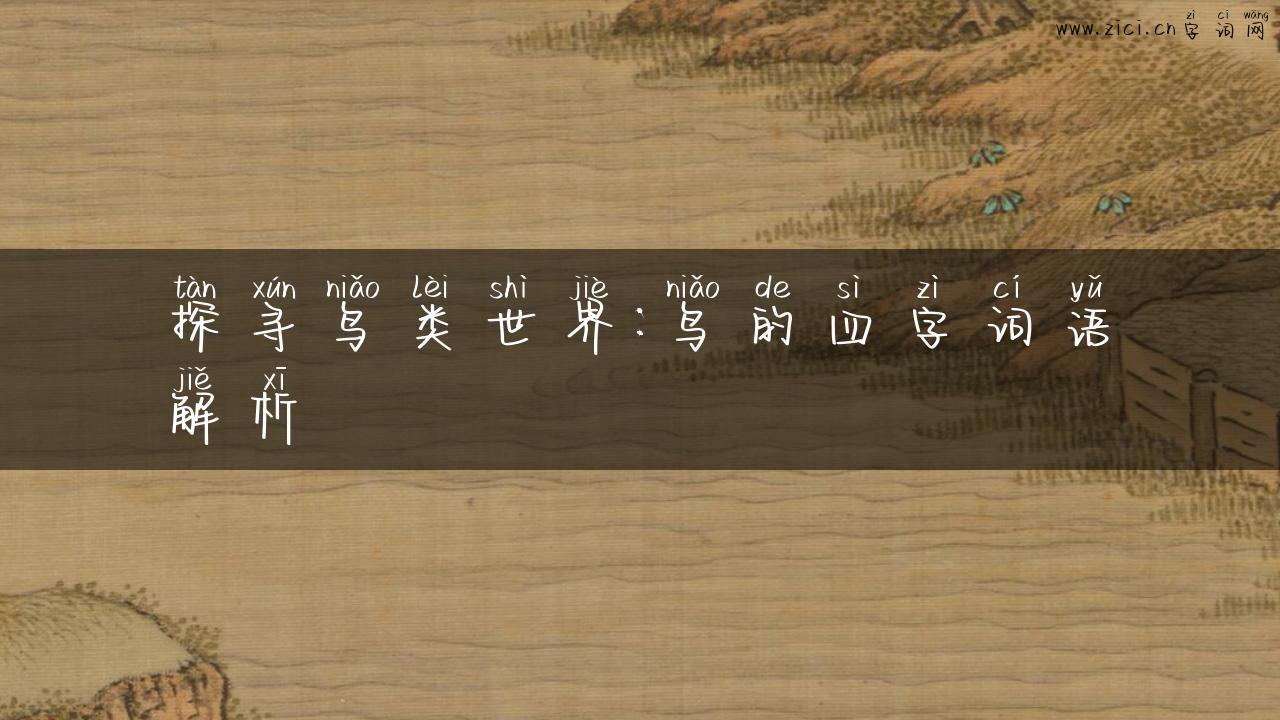 探寻鸟类世界：鸟的四字词语解析