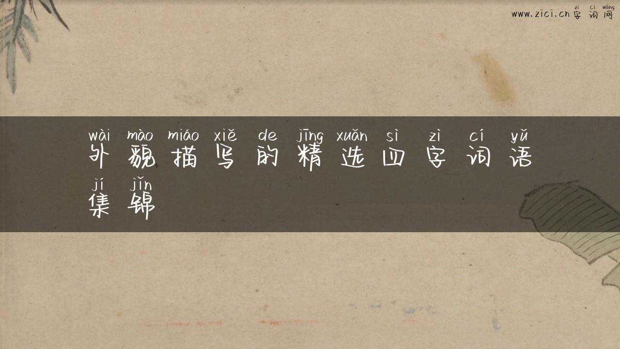 外貌描写的精选四字词语集锦