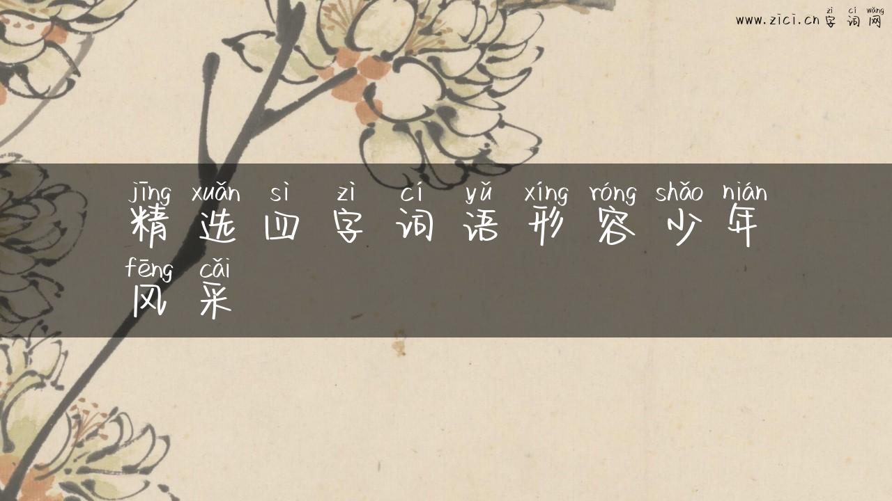 精选四字词语形容少年风采