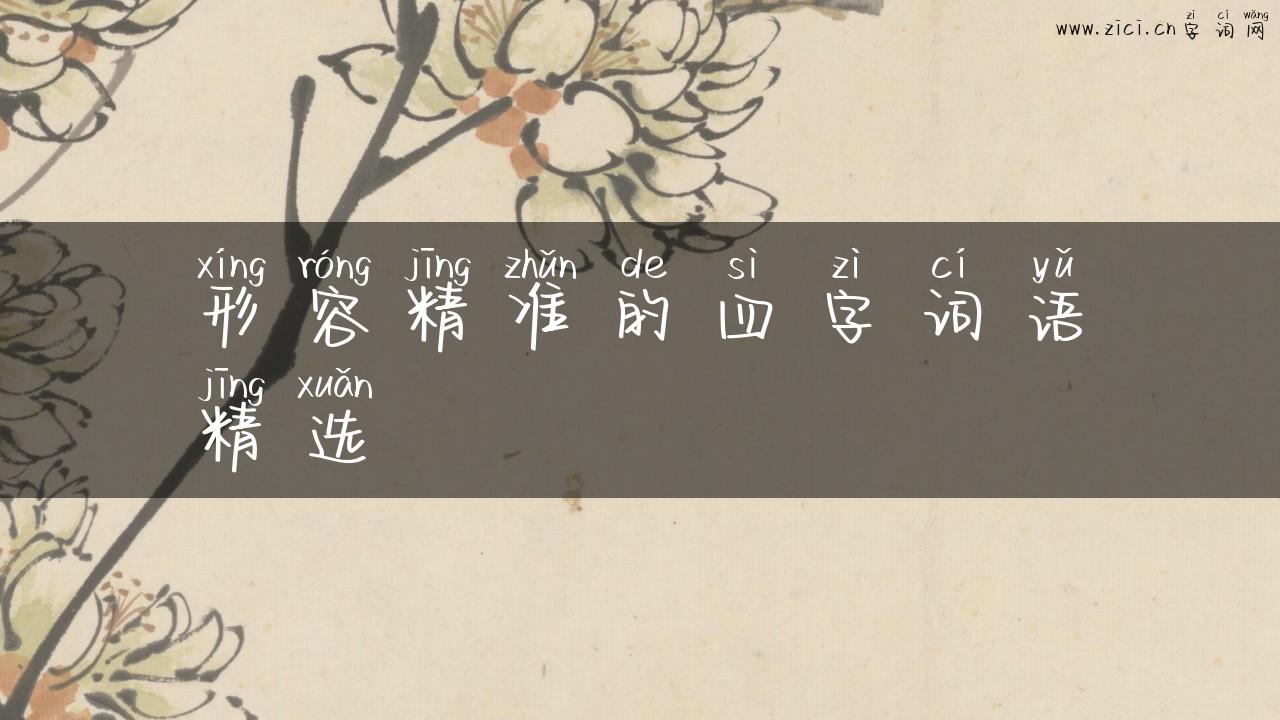 形容精准的四字词语精选