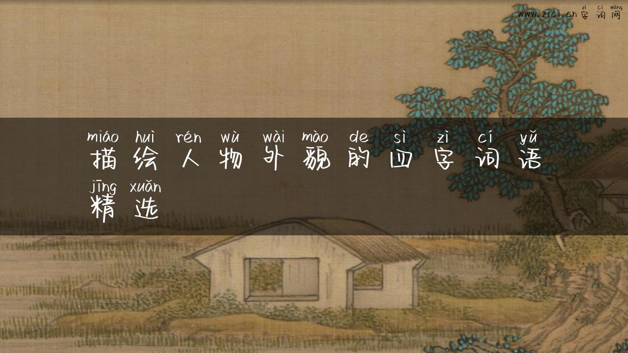 描绘人物外貌的四字词语精选