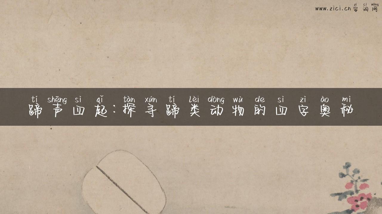蹄声四起：探寻蹄类动物的四字奥秘